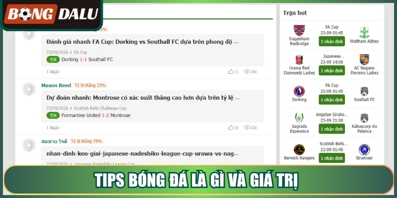 Tips bóng đá là gì và giá trị 